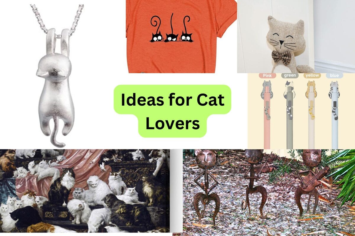 Best Cat Lover Accessories You'll Absolutely Adore